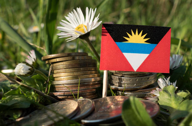 Small Antigua and Barbuda flag placed next to stacks of coins on a grassy field with daisies.