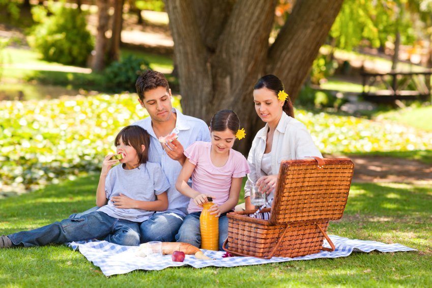 family with 2 kids in a picnic